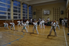 dsc_0266 [1280x768]