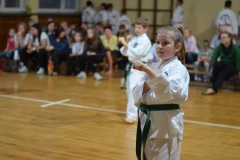 dsc_0303 [1280x768]