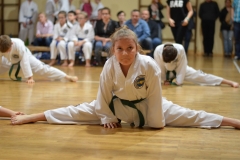 dsc_0318 [1280x768]