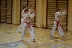 dsc_0507 [1280x768]