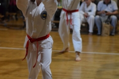dsc_0721 [1280x768]