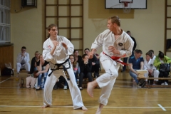 dsc_0842 [1280x768]