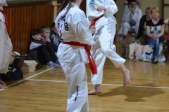 dsc_0874 [1280x768]