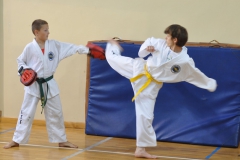 dsc_0011 (kopiowanie)