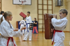 dsc_0041 (kopiowanie)