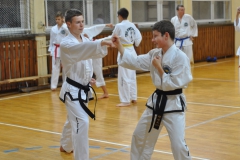 dsc_0069 (kopiowanie)