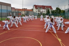 sdr