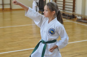 dsc 0008 (kopiowanie)