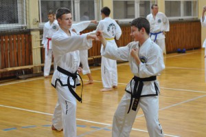dsc 0069 (kopiowanie)